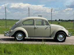
										Volkswagen Maggiolino 1.600 SUPERPERFORMANCE!!! full									