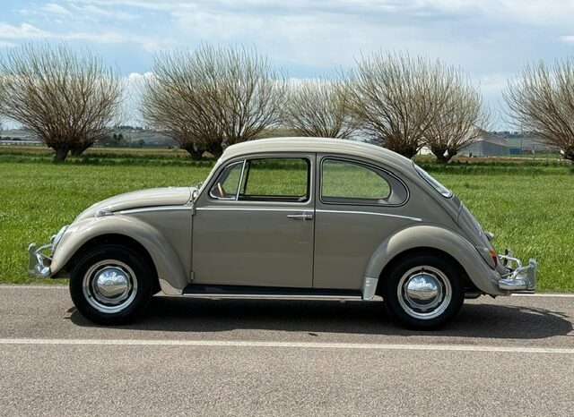 
								Volkswagen Maggiolino 1.600 SUPERPERFORMANCE!!! full									
