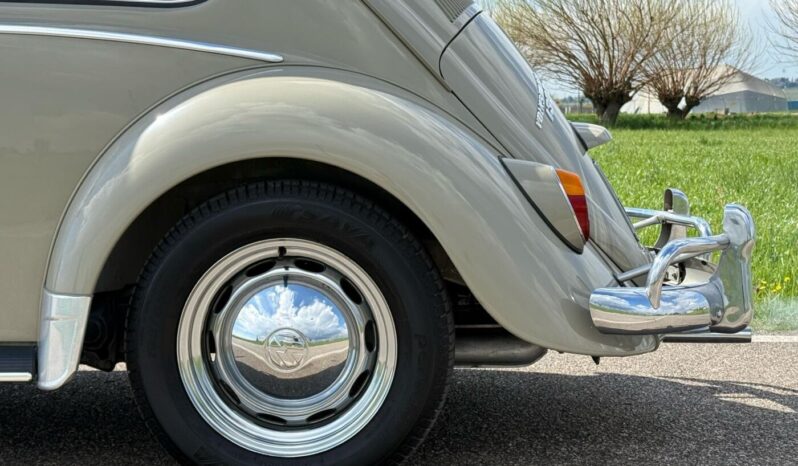 
								Volkswagen Maggiolino 1.600 SUPERPERFORMANCE!!! full									