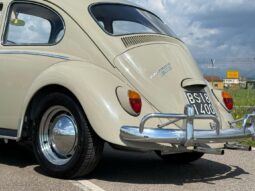 
										Volkswagen Maggiolino 1.600 SUPERPERFORMANCE!!! full									