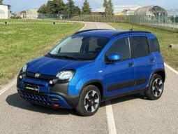 
										FIAT PANDA CITYCROSS 1.0 HYBRID 70CV “SOLO 14000 KM!!!” full									
