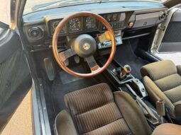 
										Alfa Romeo GTV 2.000 “Targa Originale” full									