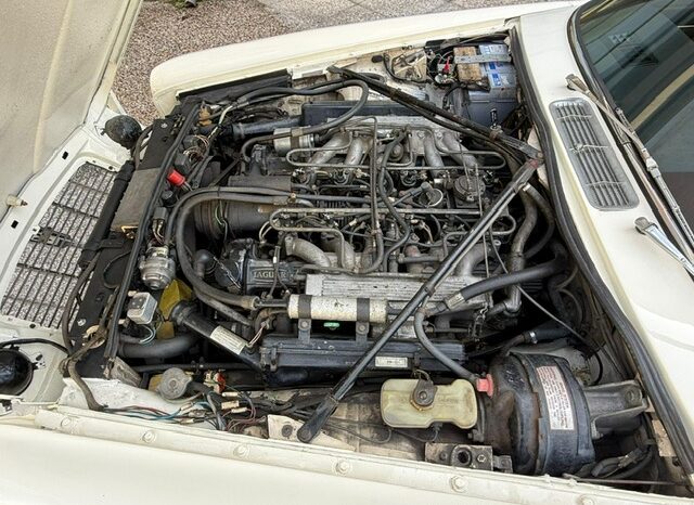
								Jaguar XJ12 5.3 “SUPERPREZZO” full									